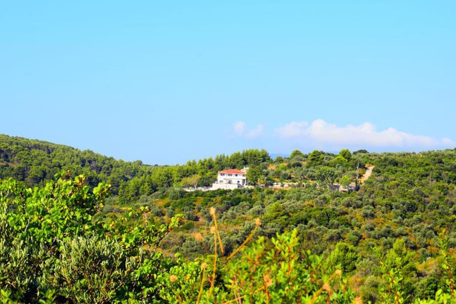 Rizos Veranda - Rooms Isomata Exterior foto